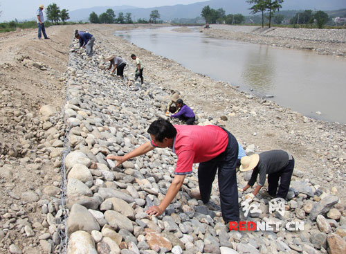 10月10日，施工人员在修建道县境内泡水河蚣坝镇至四马桥镇河段河堤雷诺护垫。