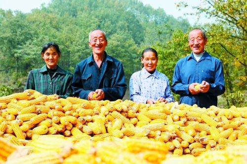 从右到左是哥哥姐姐、弟弟妹妹。