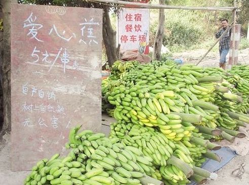 在路边,蕉农打出5元/串的价格销售