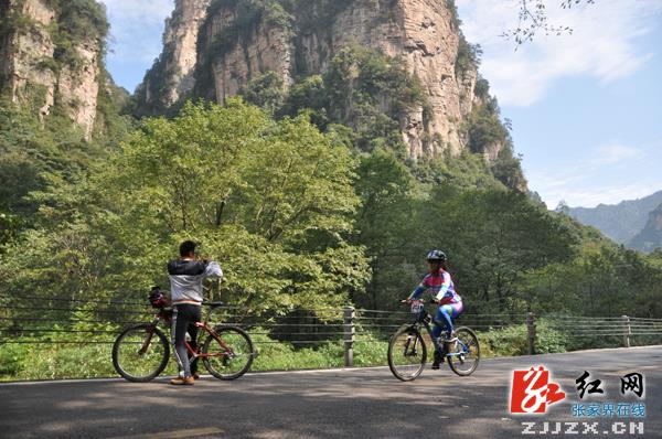 全国自行车友乐享张家界峰林美景