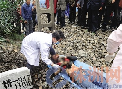 男子爬电线杆遭高压电击 出事前一天一夜没回家_湖南频道_红网