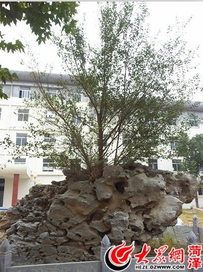 山东菏泽证实“豪华办公楼”不实 人均6㎡未超标