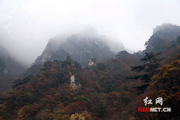 罗田大别山国家森林公园天堂寨哲人峰云雾缭绕。