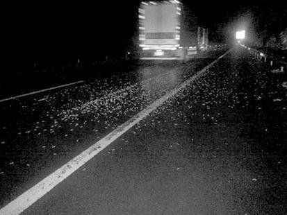 螺丝钉造成过路车辆轮胎受损