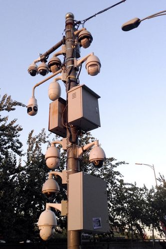 北京一电线杆挂满监控探头,网友戏称摄像头熟了。