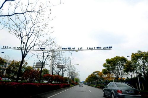 上海一马路装50多只探头,惊呆路人。