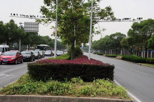上海一马路装50多只探头,惊呆路人。