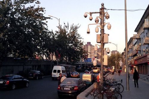 北京一电线杆挂满监控探头,网友戏称摄像头熟了。