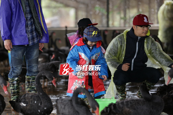 《爸爸去哪儿》剧照