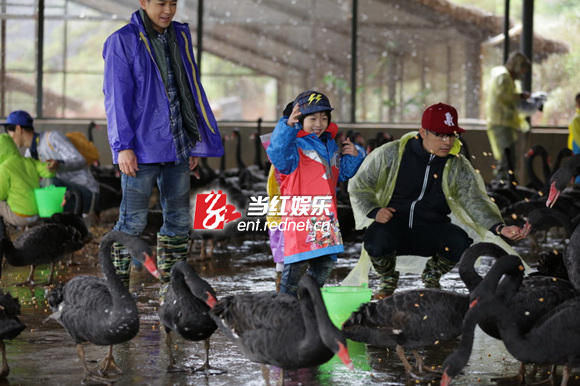 《爸爸去哪儿》剧照