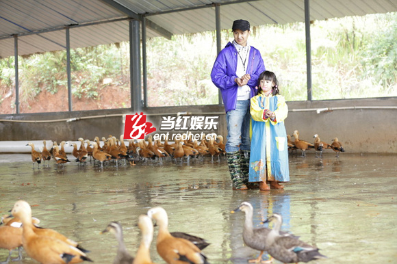 《爸爸去哪儿》剧照