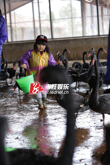 《爸爸去哪儿》剧照