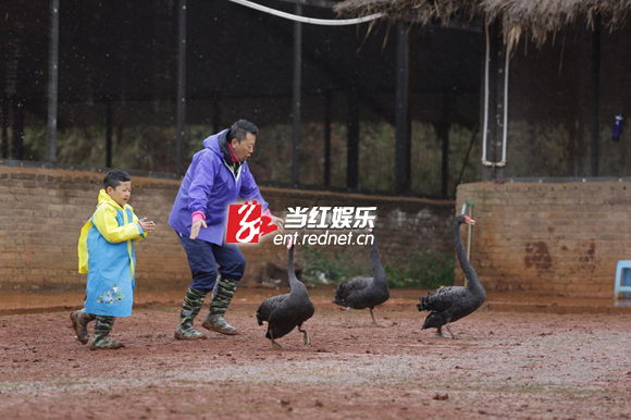 《爸爸去哪儿》剧照