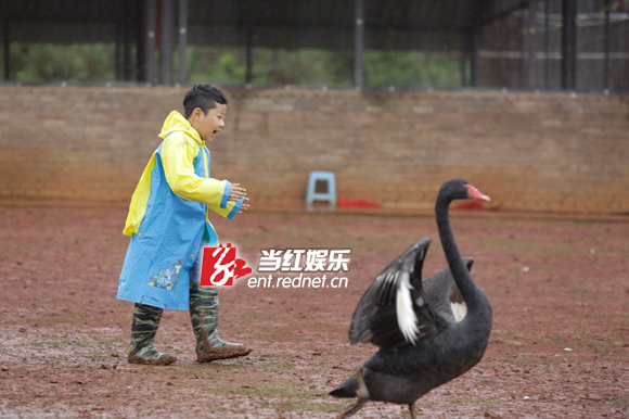 《爸爸去哪儿》剧照