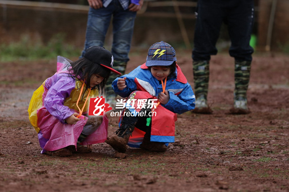 《爸爸去哪儿》剧照