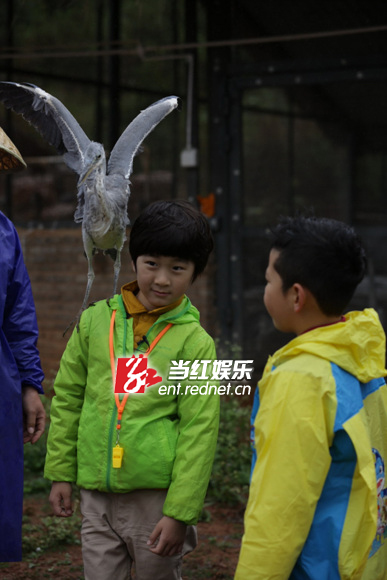 《爸爸去哪儿》剧照