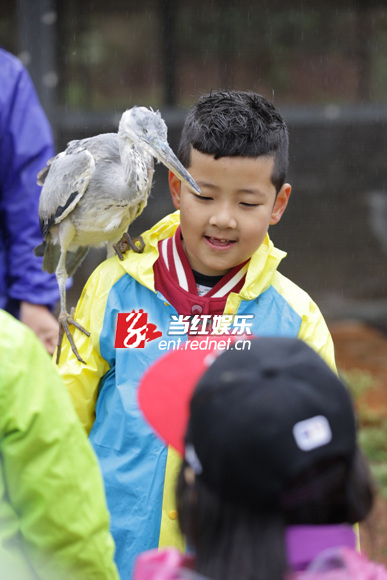 《爸爸去哪儿》剧照