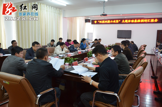 杜芳禄率“双联双解六攻坚”主题活动区县指导四组深入桑植县调研