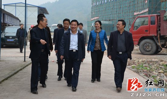 杜芳禄率“双联双解六攻坚”主题活动区县指导四组深入桑植县调研