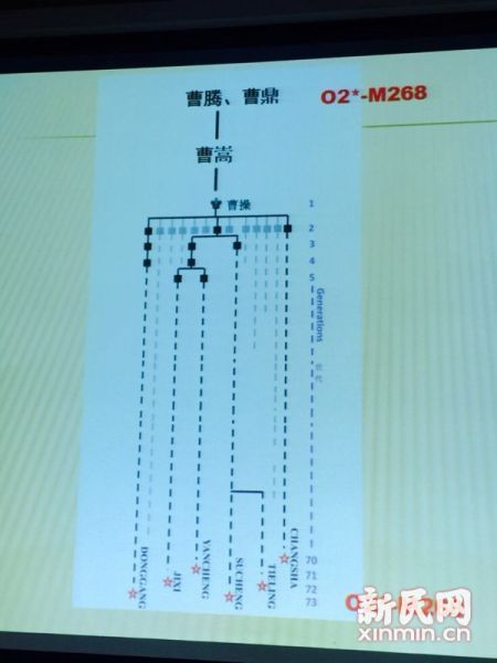 复旦公布曹操家族DNA：非夏侯氏抱养