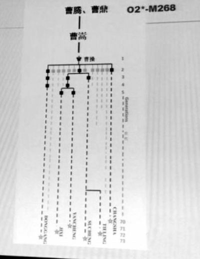 复旦宣布确定曹操家族DNA