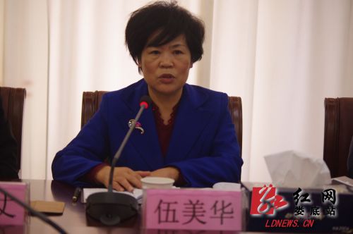娄底市委常委、宣传部长伍美华发言