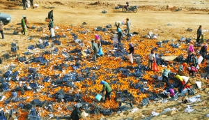 哄抢现场一片狼藉。本报记者 房毅 摄