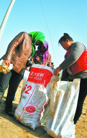 比一比谁捡拾得多。