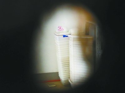 男子租房存放白鼠吓坏邻居 自称给朋友喂宠物蛇