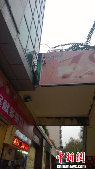 小狗被人吊死闹市区作恶者仅能以影响市容处罚