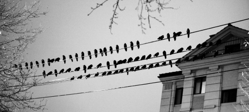 支一个锅，16日中午，老隋下水饺吃，虽然“疯”了，但他包的水饺还是饱满圆润，透出他曾经的生活色调。