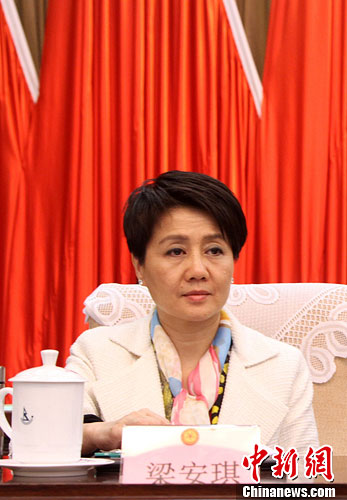 11月20日，澳门基金会信托委员会委员梁安琪当选江西省侨联第七届委员会副主席。中新社发 范文娟 摄