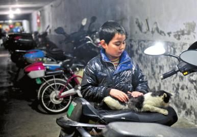 11岁男孩错过入学时间 每天跟妈妈扫大街(图)