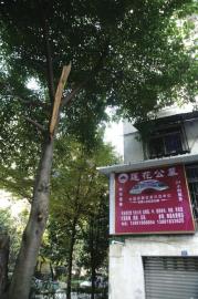 居民称像是睡在“公墓”上，老人恐慌、女人害怕、小孩闹搬家