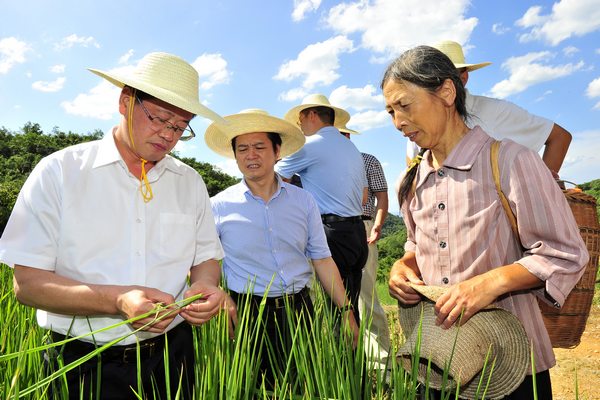 杨光荣：让“廉洁之花”在张家界的奇峰异石间绽放