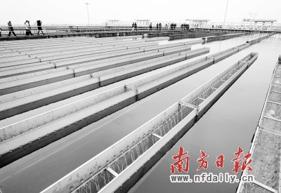 全市61家水厂有20家不达标。 资料图片