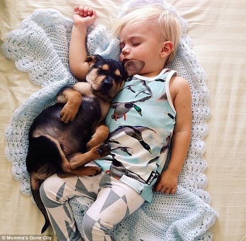 鲍尔与小狗“西欧”(Theo)酣然入眠,在网上吸引数百万人点击。