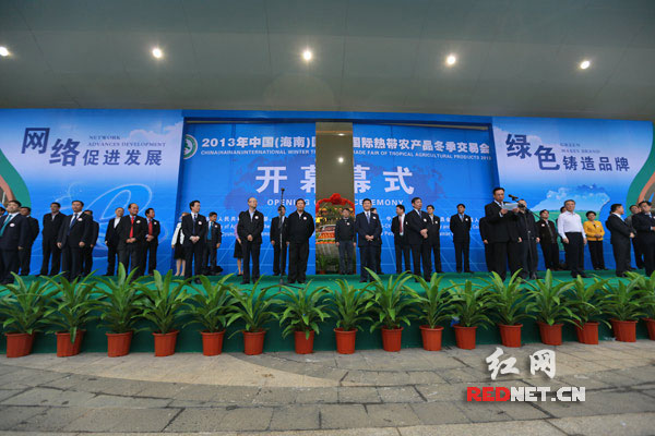 2013海南冬交会开幕 网上卖瓜菜成亮点(组图)