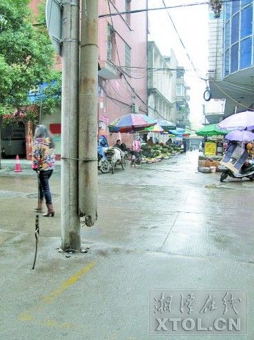 “断腿”的电线杆被绑在另一根电线杆上。（记者 陈旭东 摄）