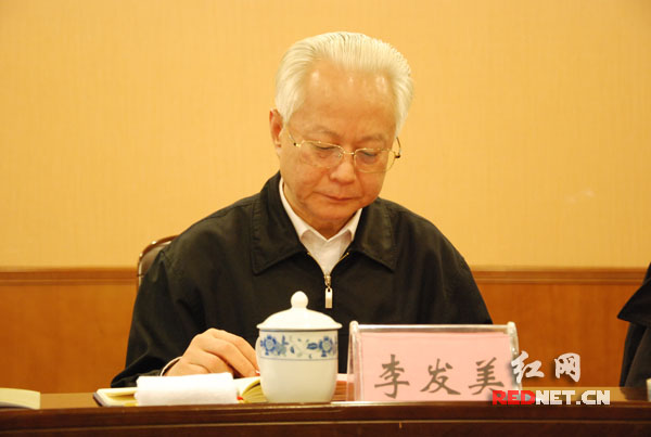 湖南省委副秘书长、省委宣传部常务副部长李发美出席启动仪式，并为活动授旗。
