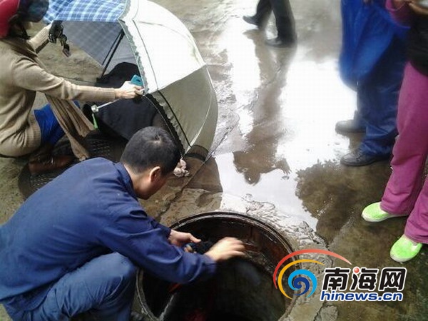 　　　抢救现场(网友提供)