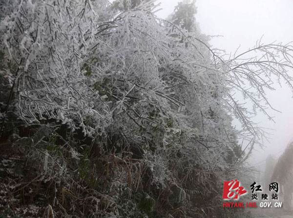 炎陵县大院农场的雪景