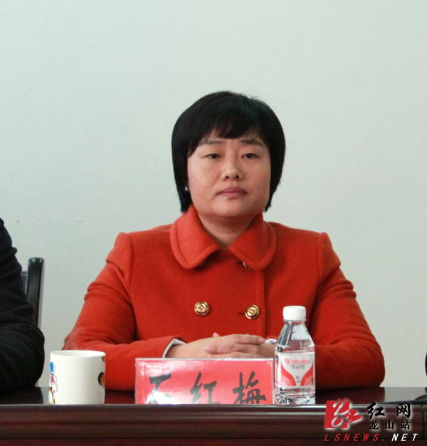 龙山县委常委,组织部部长石红梅出席会议