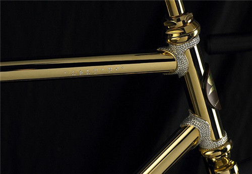 车身用600颗高品质的施华洛世奇水晶进行点缀。