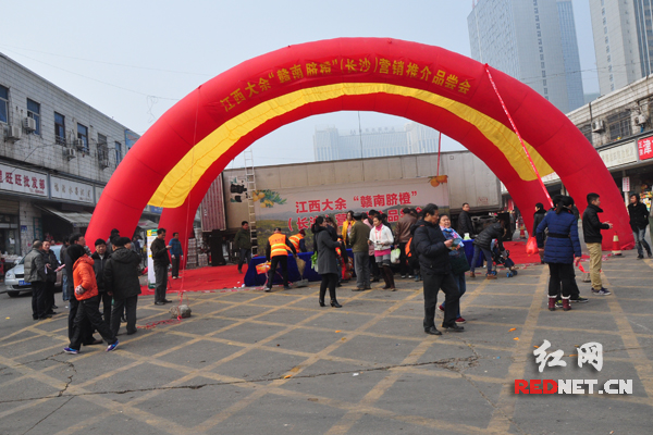 12月20日，江西大余赣南脐橙（长沙）营销推介品尝会在长沙红星农副产品大市场举行。