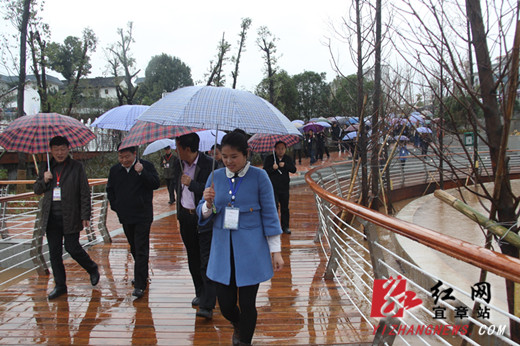 郴州市推进新型城镇化暨大十字城镇群建设现场会在宜章召开_湖南频道_红网