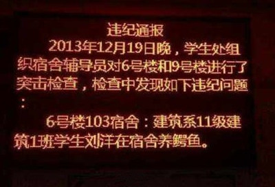 [视频]学生宿舍养鳄鱼被通报 众多网友表示震惊