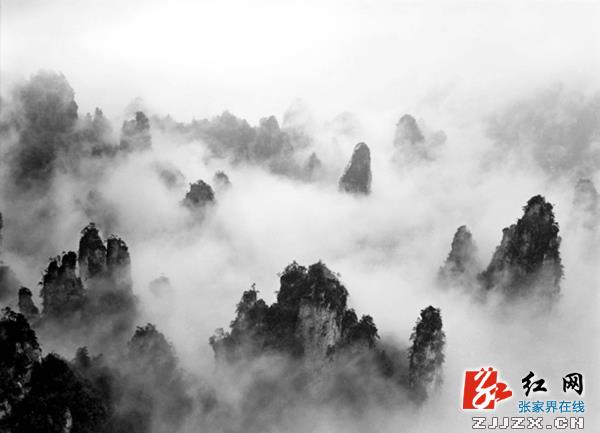 香港摄影家何焕迷恋张家界 32年58次“聚焦”核心景区