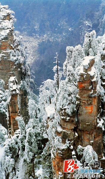 香港摄影家何焕迷恋张家界 32年58次“聚焦”核心景区