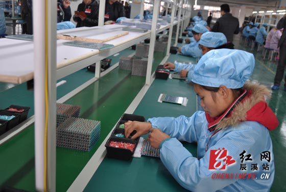 辰溪县政协委员视察重点项目 县四大家领导陪